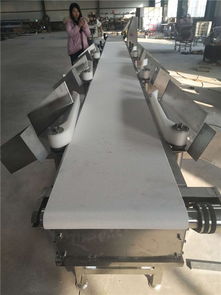 海產(chǎn)品重量分選機選購指南 直擊諸城和義機械與臺灣設(shè)備高清圖解